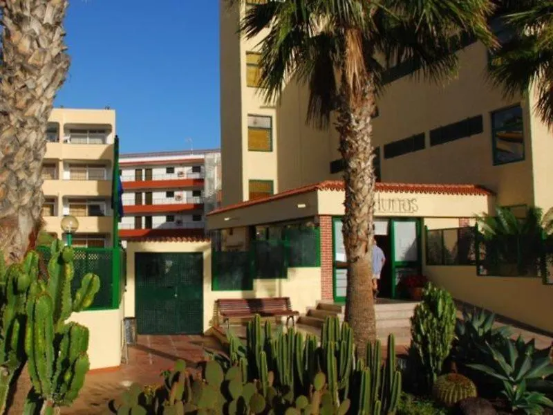 Apartamentos Las Dunas Playa del Ingles  Apartment